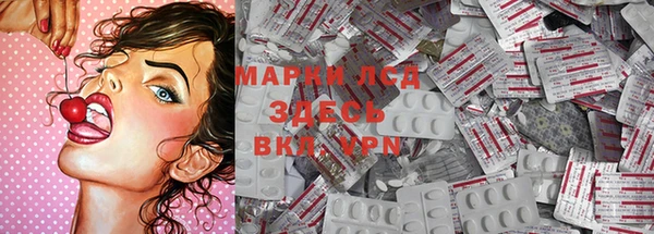 спайс Пересвет